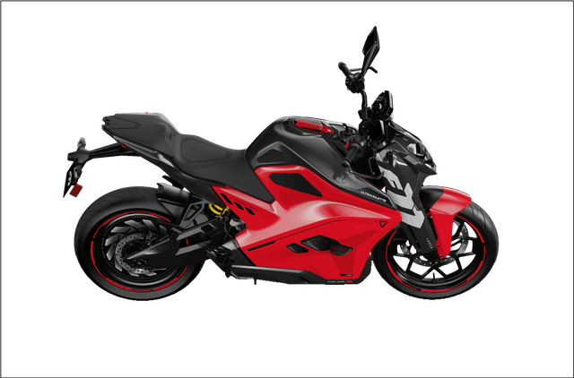 swingarm